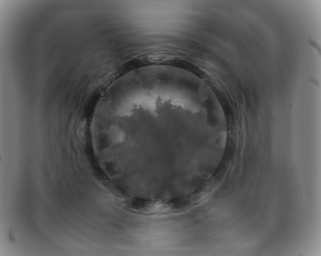 X0000097780319200803141813