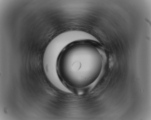 X0000097780320200803141813