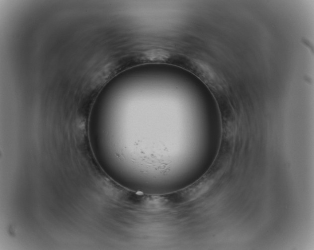 X0000097780321200803141813