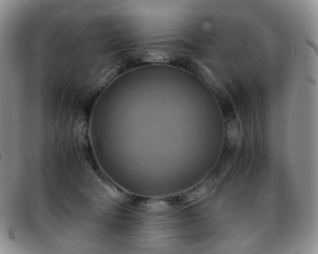 X0000097780322200803141813