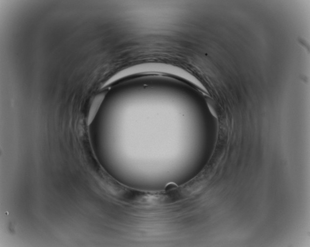 X0000097780323200803141813