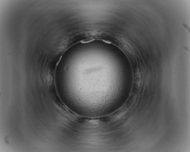 X0000097780324200803141813