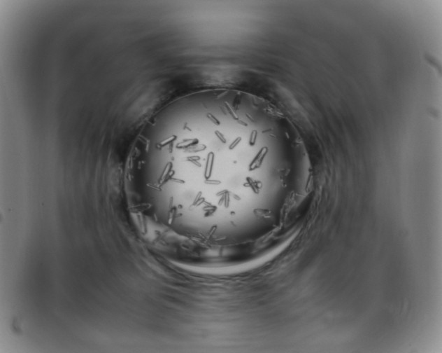X0000097780325200803141813