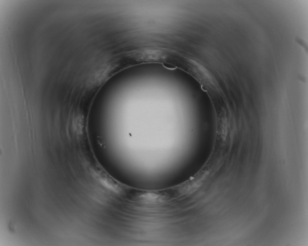 X0000097780326200803141813