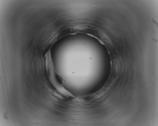 X0000097780328200803141813