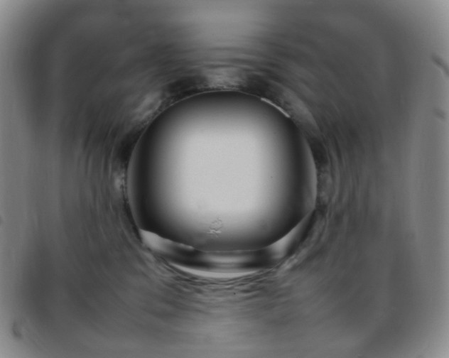 X0000097780329200803141813