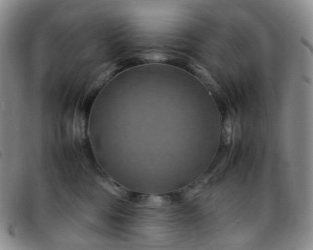 X0000097780330200803141813