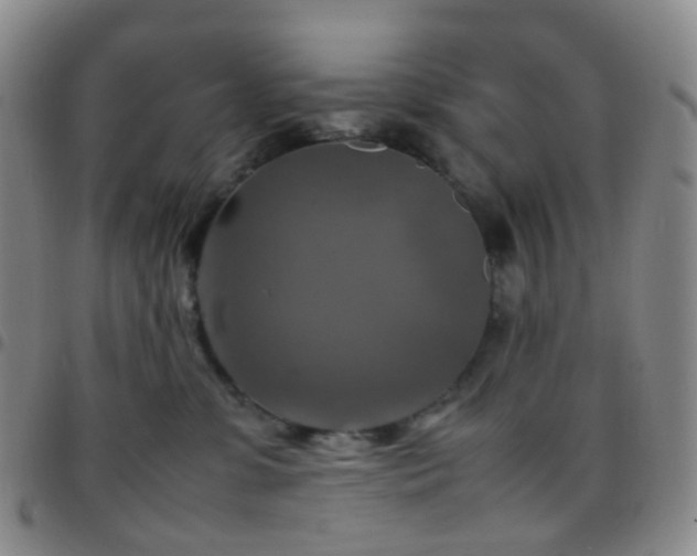 X0000097780331200803141813