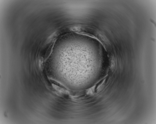 X0000097780332200803141813