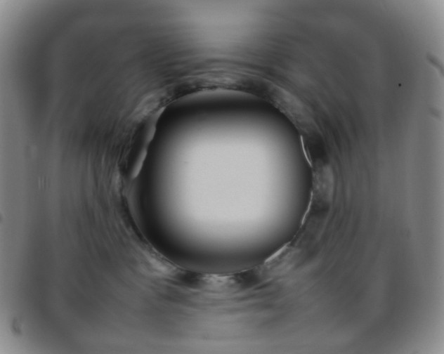 X0000097780333200803141813