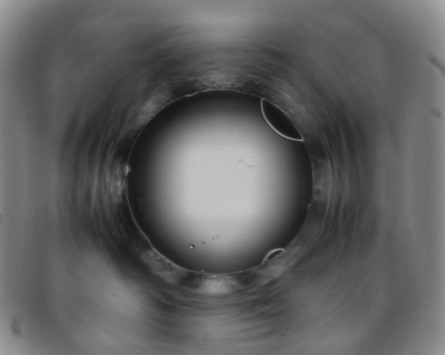 X0000097780334200803141813