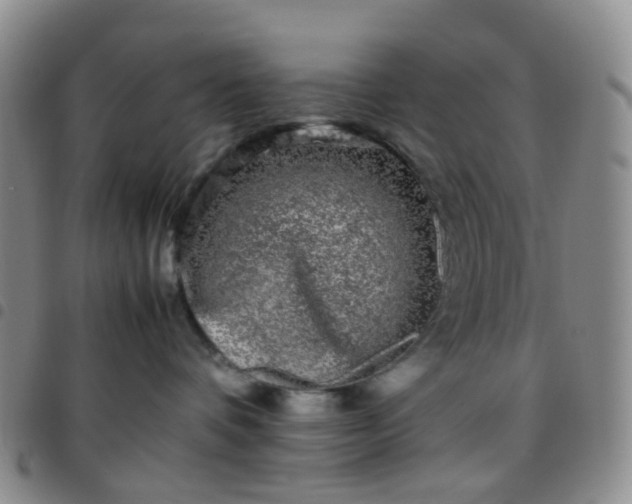 X0000097780336200803141813