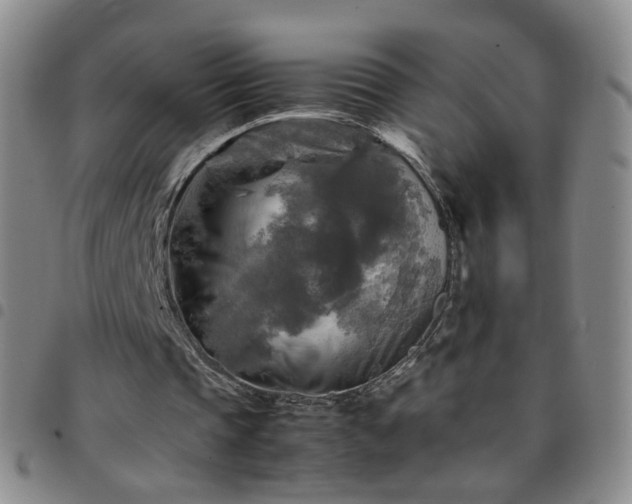 X0000097780337200803141812