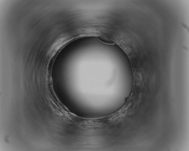 X0000097780338200803141812