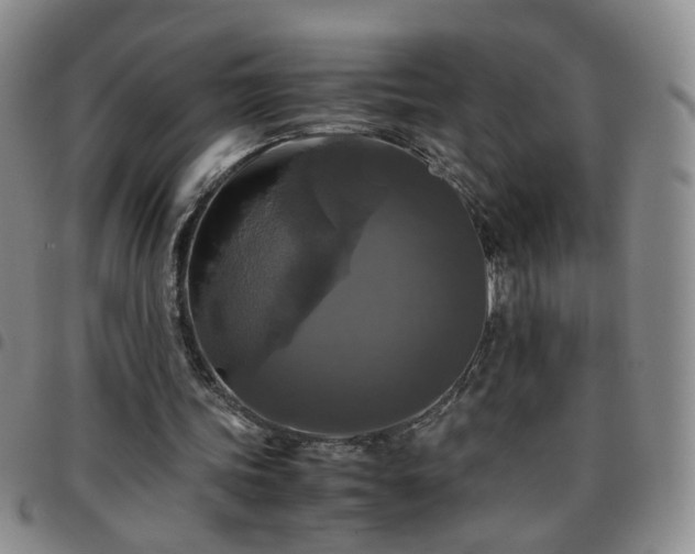 X0000097780339200803141812