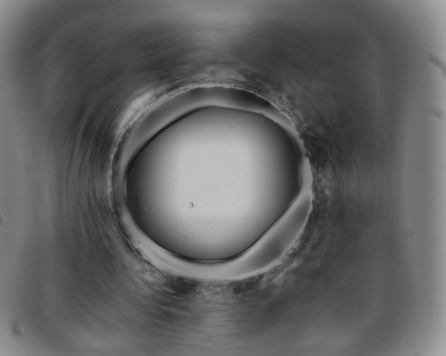 X0000097780340200803141812