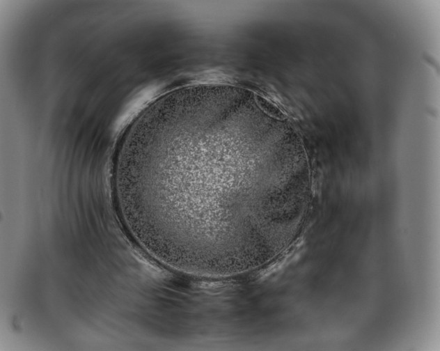 X0000097780341200803141812