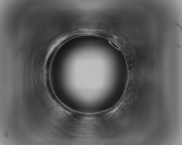 X0000097780342200803141812