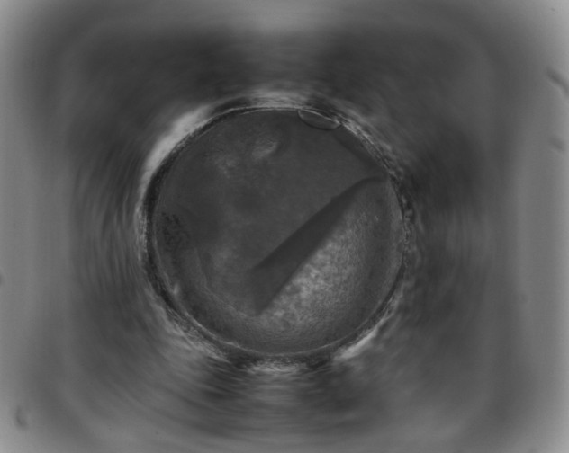 X0000097780343200803141812