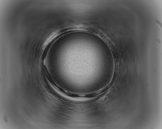 X0000097780344200803141812