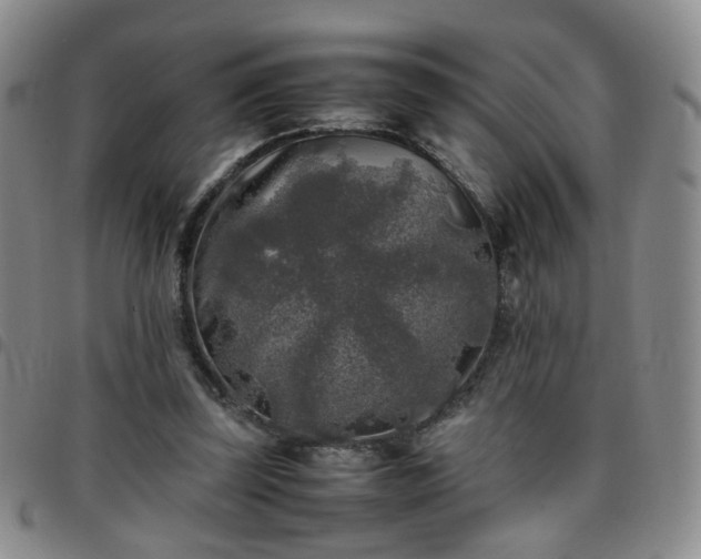 X0000097780347200803141812