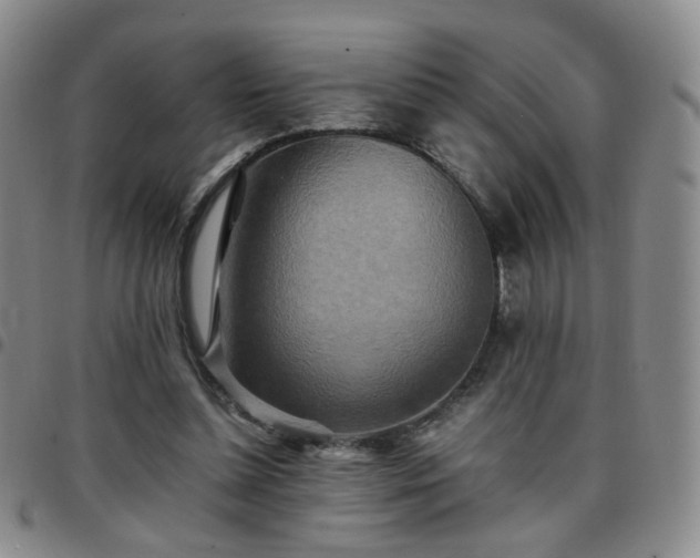 X0000097780348200803141812