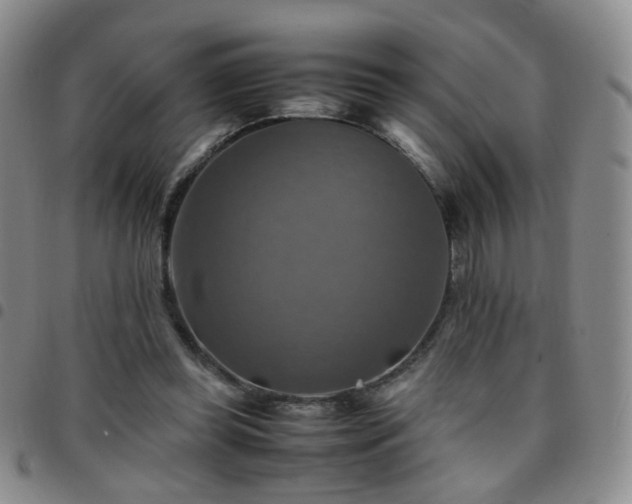 X0000097780349200803141812