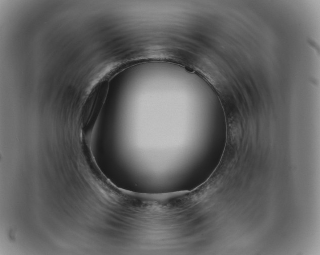 X0000097780350200803141812