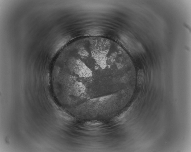 X0000097780351200803141812