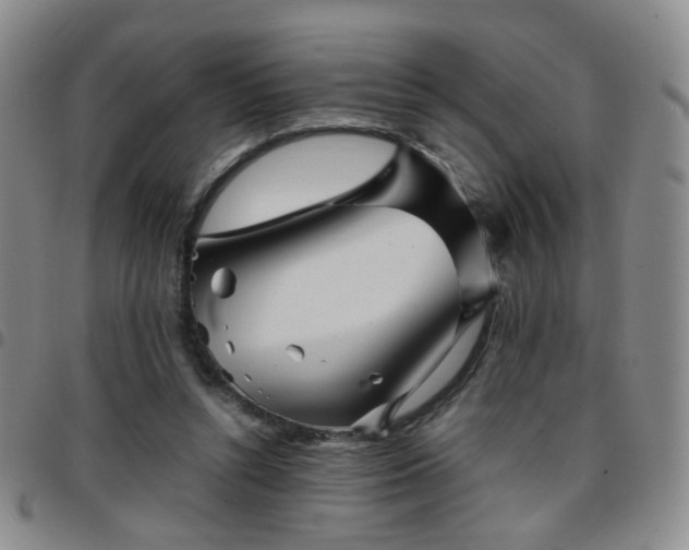 X0000097780352200803141812