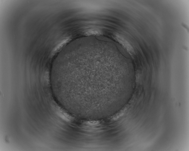 X0000097780353200803141812