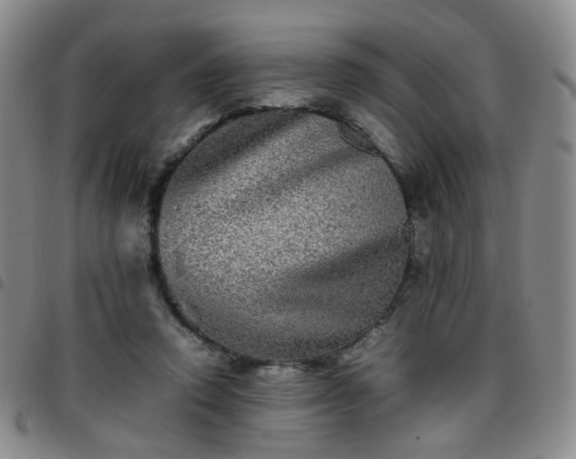 X0000097780354200803141813