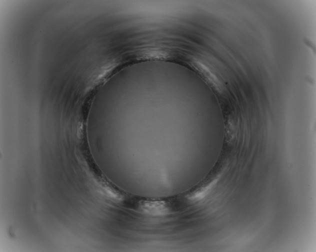 X0000097780355200803141813