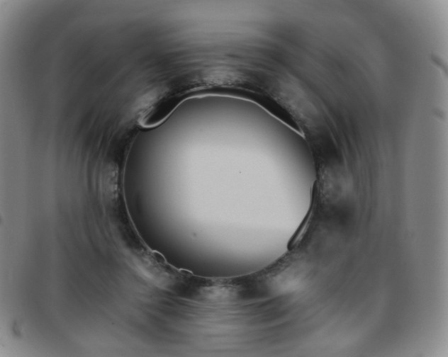 X0000097780356200803141813