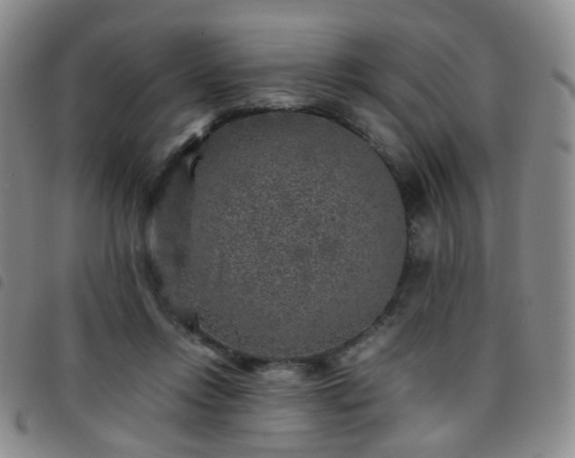 X0000097780358200803141813