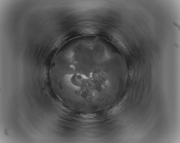 X0000097780359200803141813