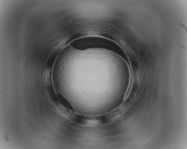 X0000097780360200803141813