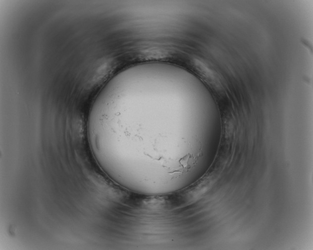 X0000097780362200803141813