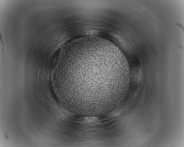 X0000097780363200803141813