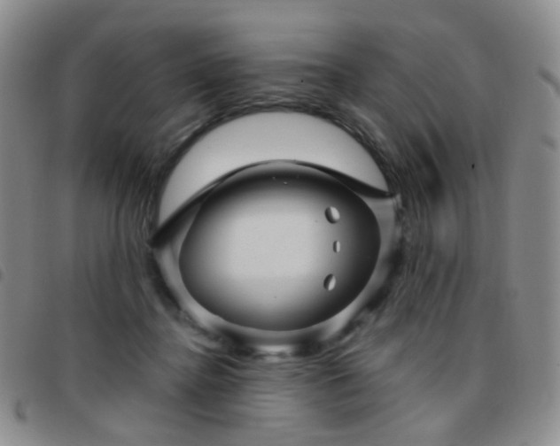 X0000097780364200803141813