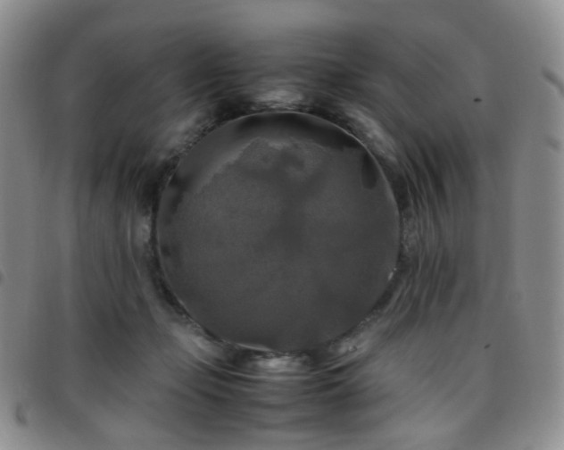 X0000097780365200803141813