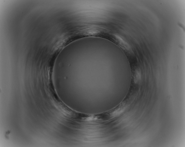 X0000097780366200803141813