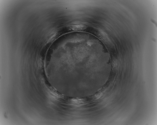 X0000097780367200803141813