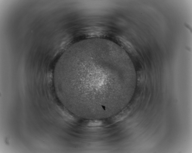 X0000097780369200803141813