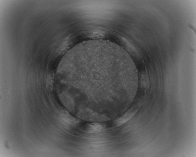 X0000097780370200803141813