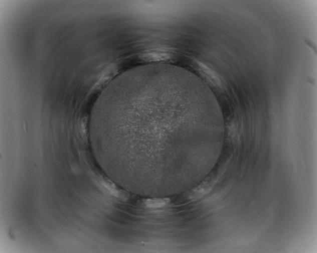 X0000097780373200803141813