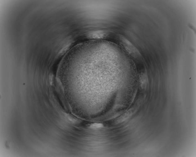 X0000097780374200803141813