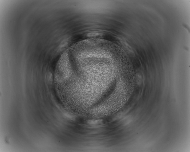 X0000097780375200803141813