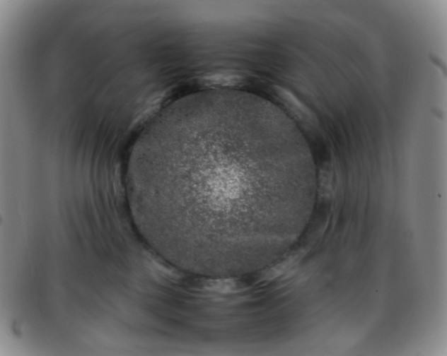 X0000097780377200803141813