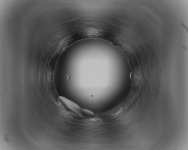 X0000097780379200803141813